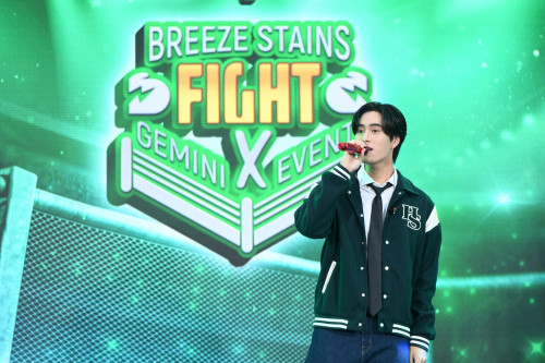 ---Breeze-Stains-Fight-x-Gemini-8.jpg