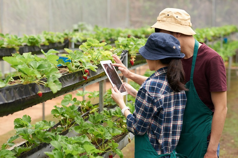 ยกระดับเกษตรกรไทย ด้วย Smart Farm