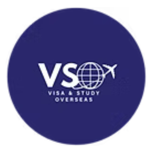 VSO Logo