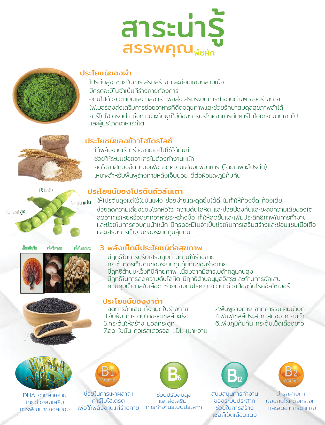สาระน่ารู้ AD PRO PLUS