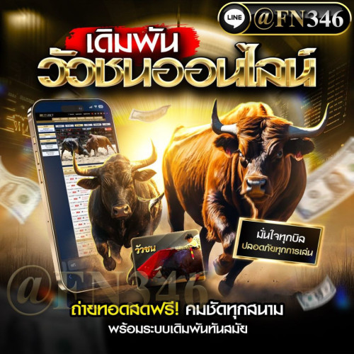 แทงวัวชน