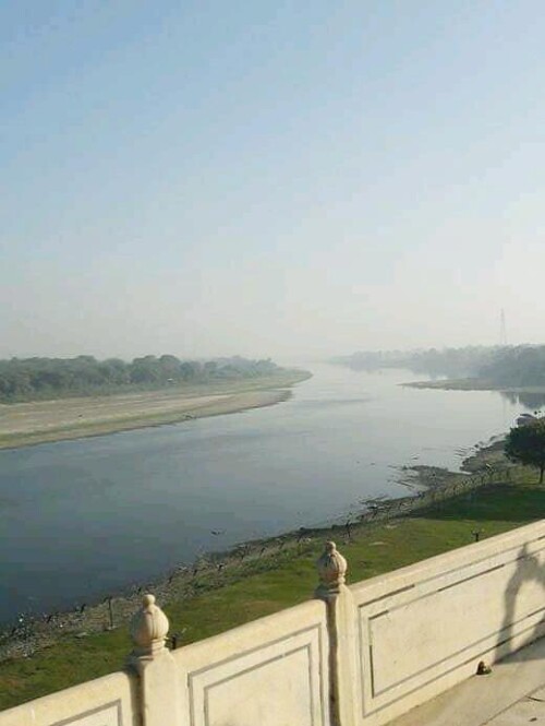 1 large 20210720111942