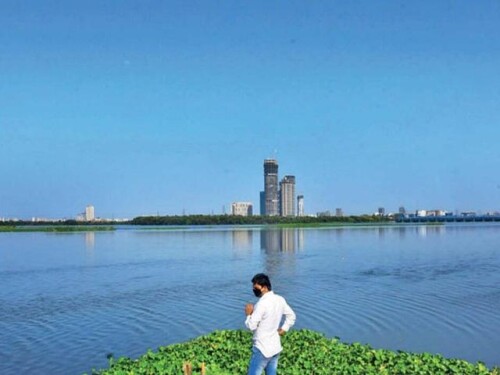 13 large 20210720112703