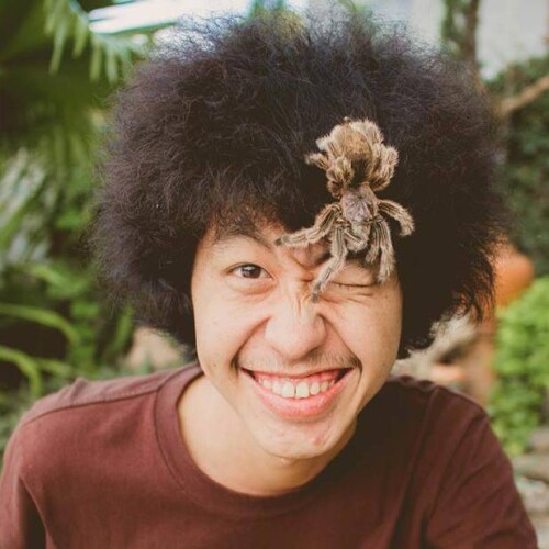 132195102 211879050544084 779360987978756497 n