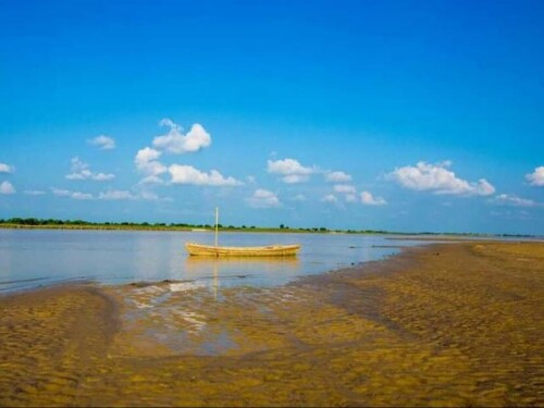 15 large 20210720112726