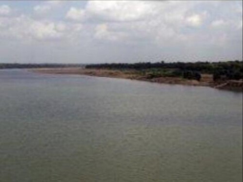 19 large 20210720112929