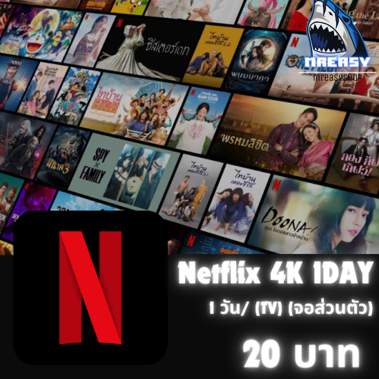Netflix 4K /1วัน (TV) (จอส่วนตัว)
