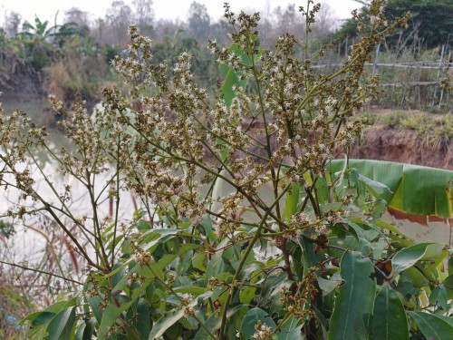 20250216_074328_resize.jpg