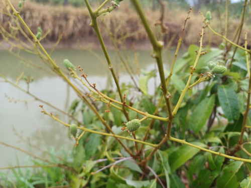 20250308_081957_resize.jpg