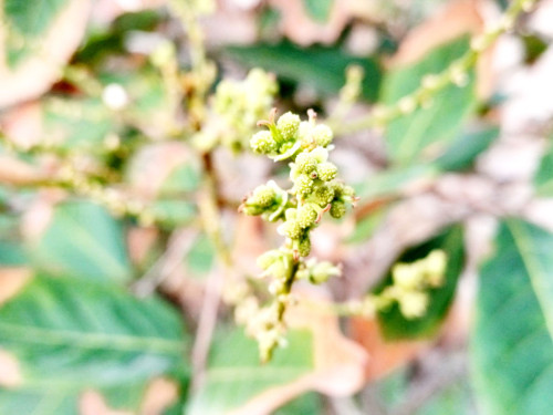 20250322_065031_resize_exposure.jpg