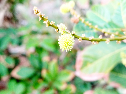 20250322_065257_resize_exposure.jpg