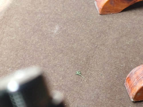 20250615_132149_resize.jpg