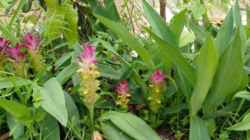 20250621_121545_resize.jpg