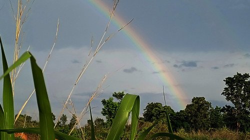 20250622_172620_resize_exposure.jpg