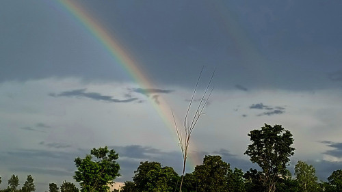 20250622_172900_resize_exposure.jpg