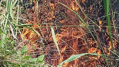 20250624_113547_resize.jpg