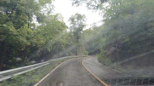 20250628_105430_resize.jpg