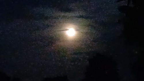 20250908_052351_resize.jpg