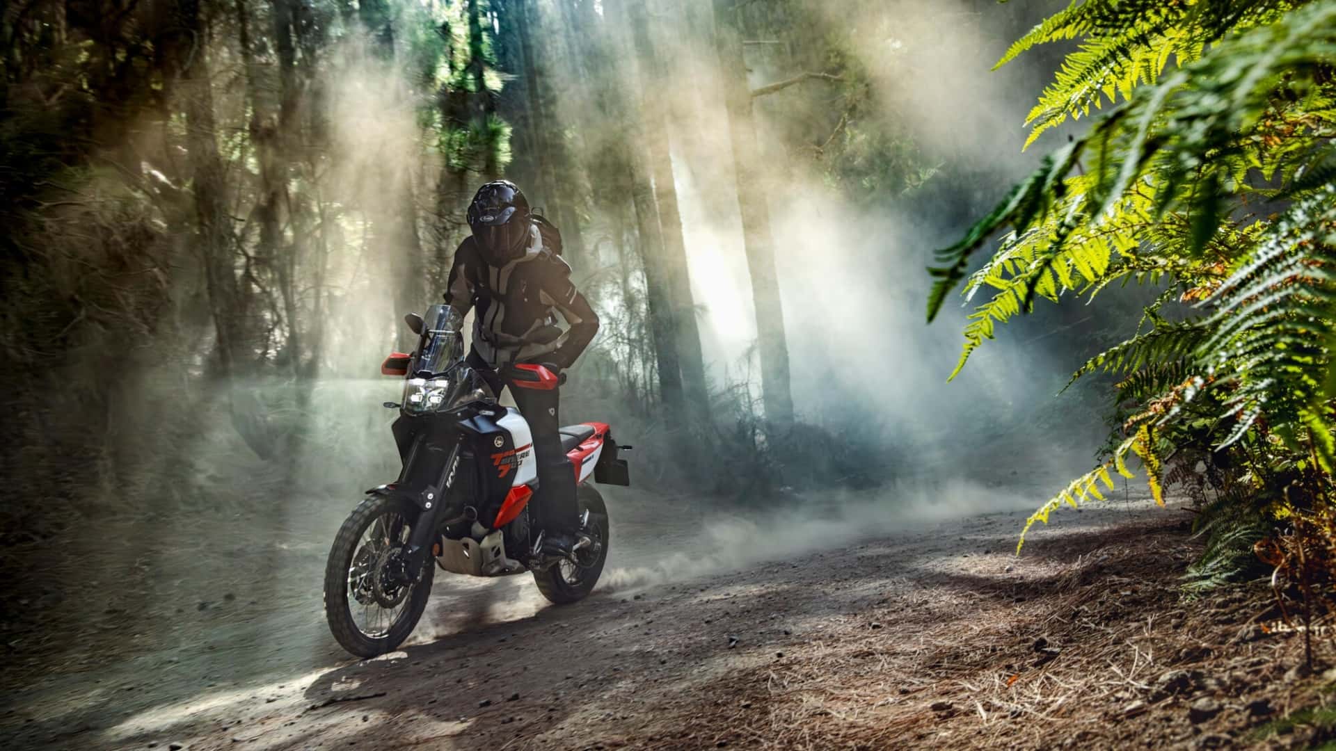 2026 yamaha tenere 700 world raid (4)