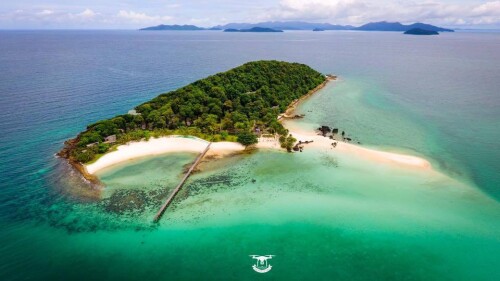 21192722 1689335687745503 5816851299946592678 n