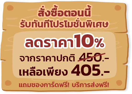 Promotion ลด 10% แถมฟรีซองการ์ด และค่าส่ง