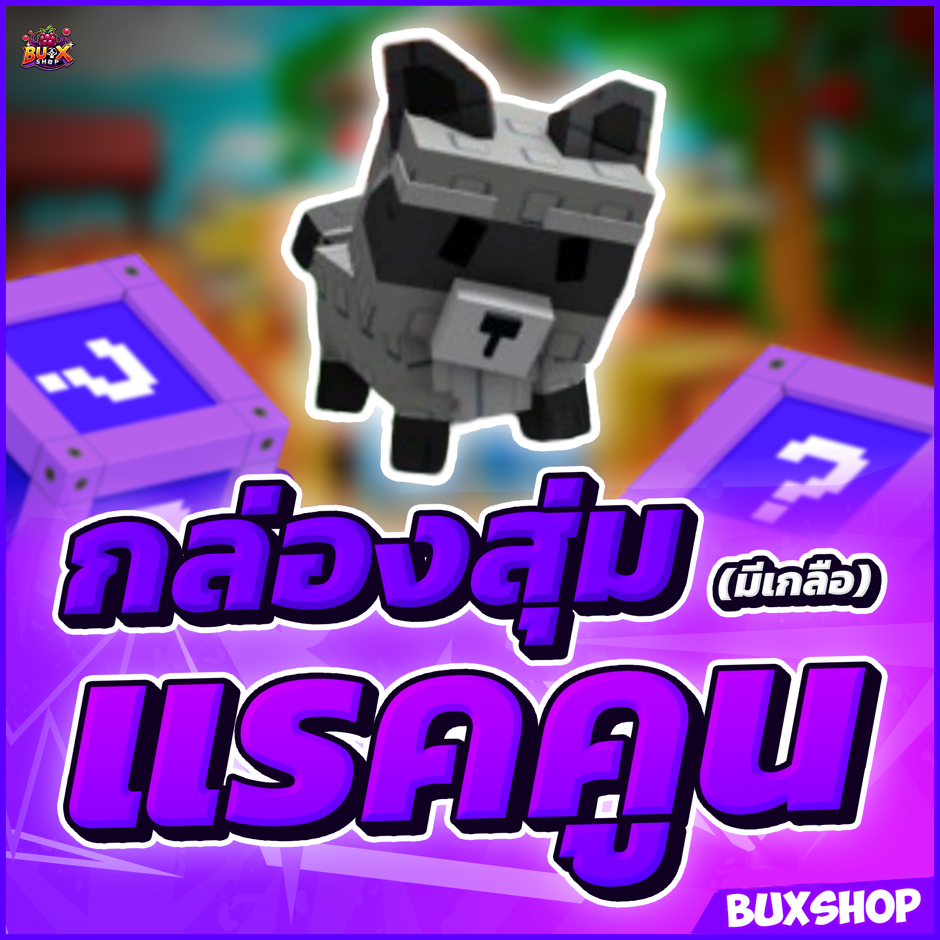 กล่องสุ่ม Raccoon 🦝