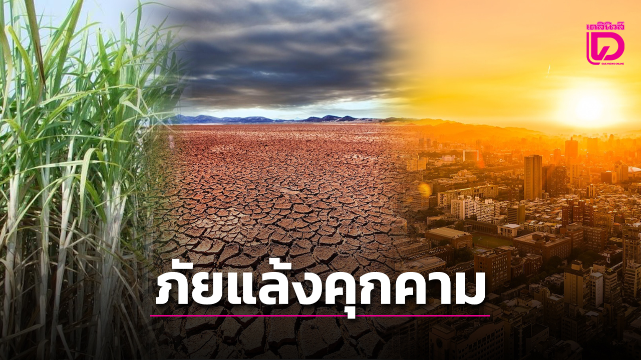 หายนะเงียบ: “ภัยแล้ง” ปรากฏการณ์ที่กำลังกัดกินประเทศไทยอย่างช้า ๆ แต่รุนแรง