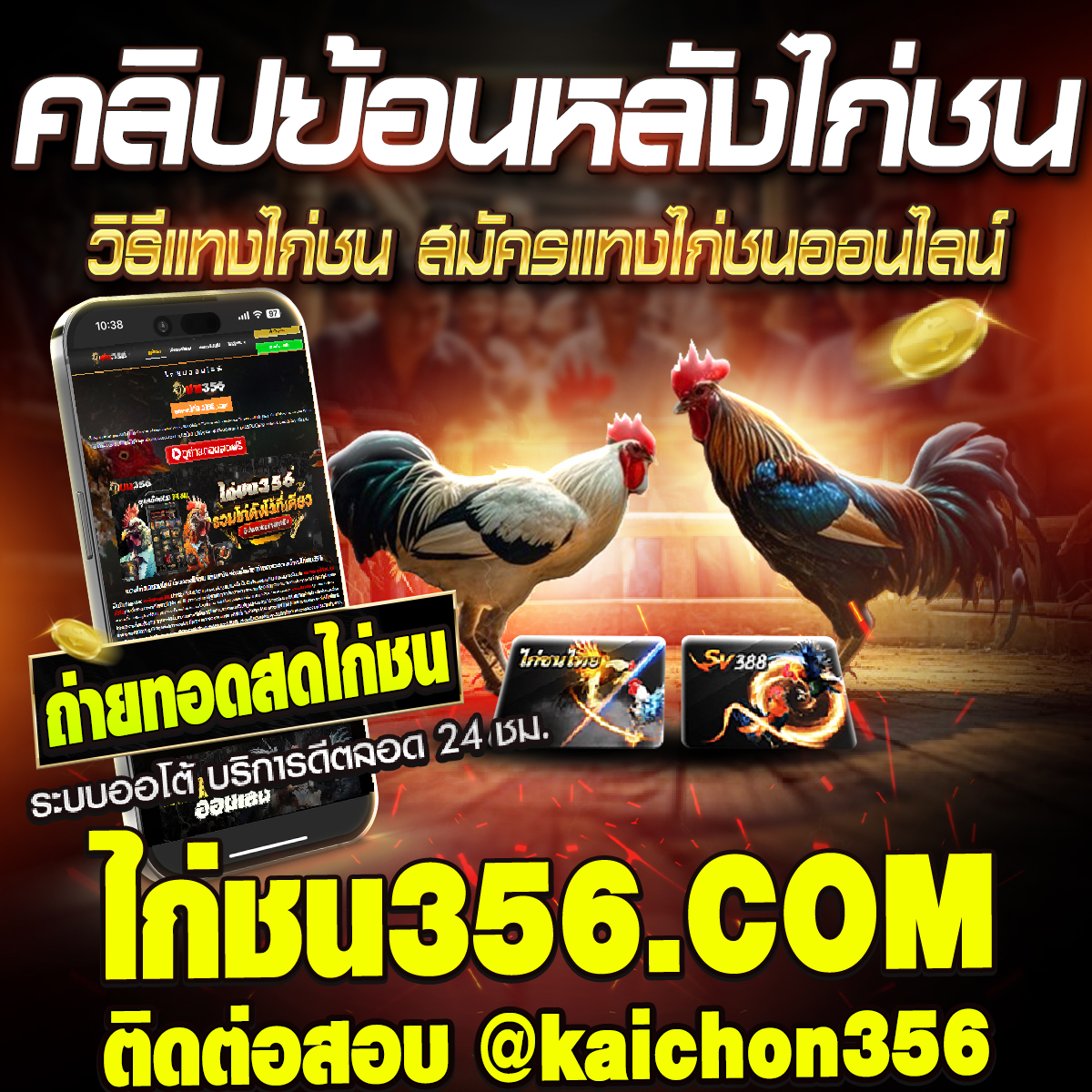 เว็บแทงไก่ชนออนไลน์
