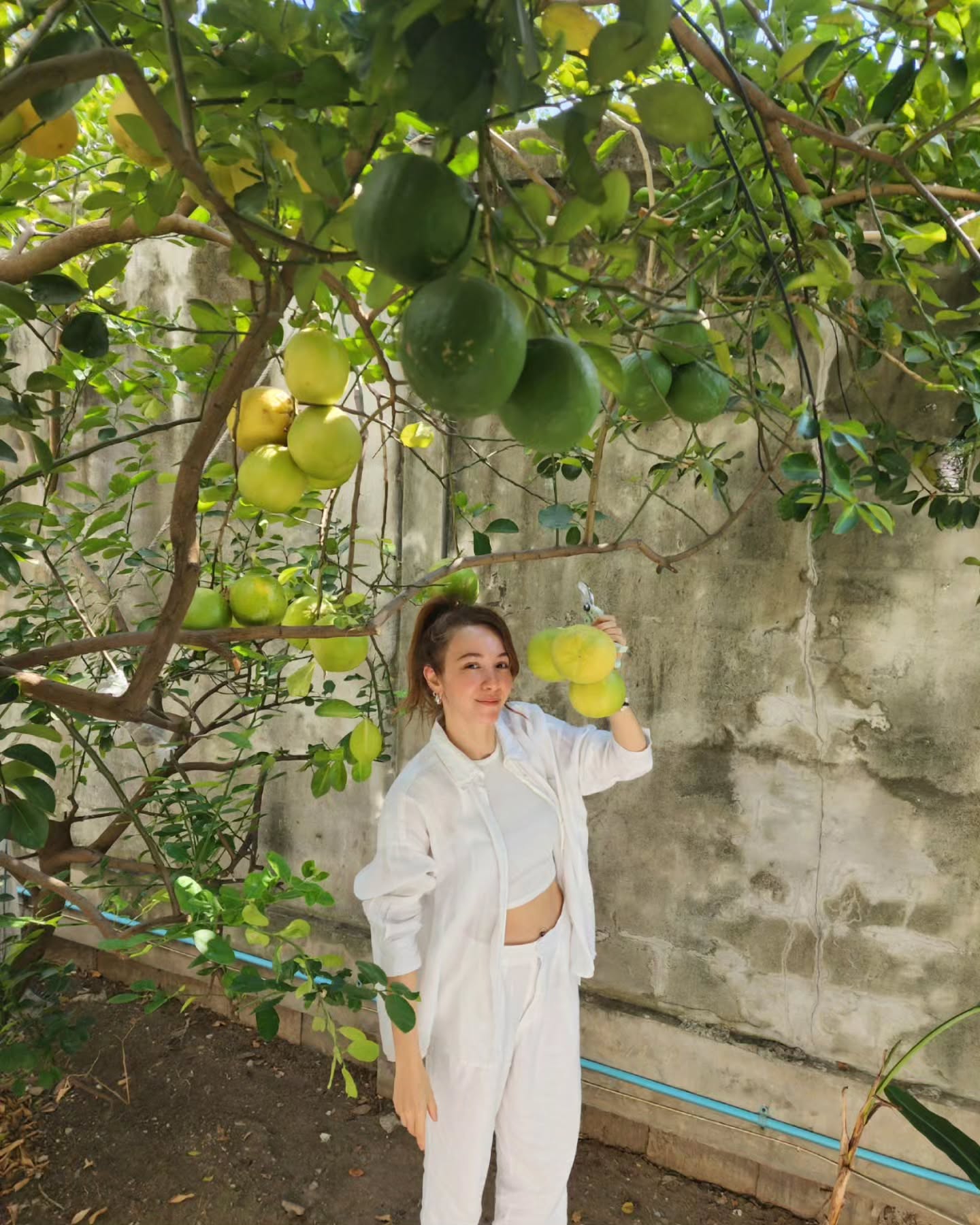 419910710 1573852350134627 1756288175131890737 n