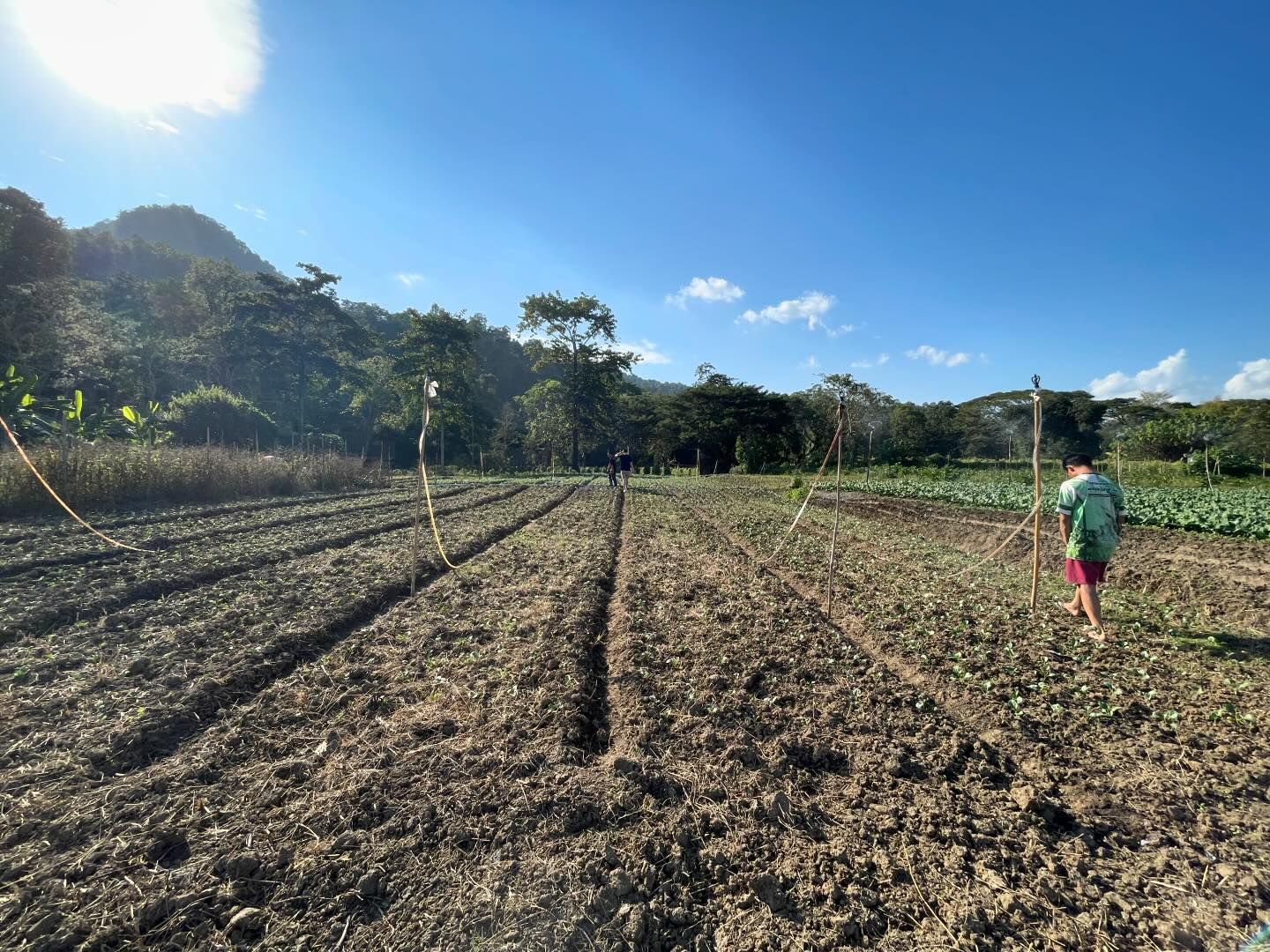 428369772 18418835839037539 760120084834055327 n