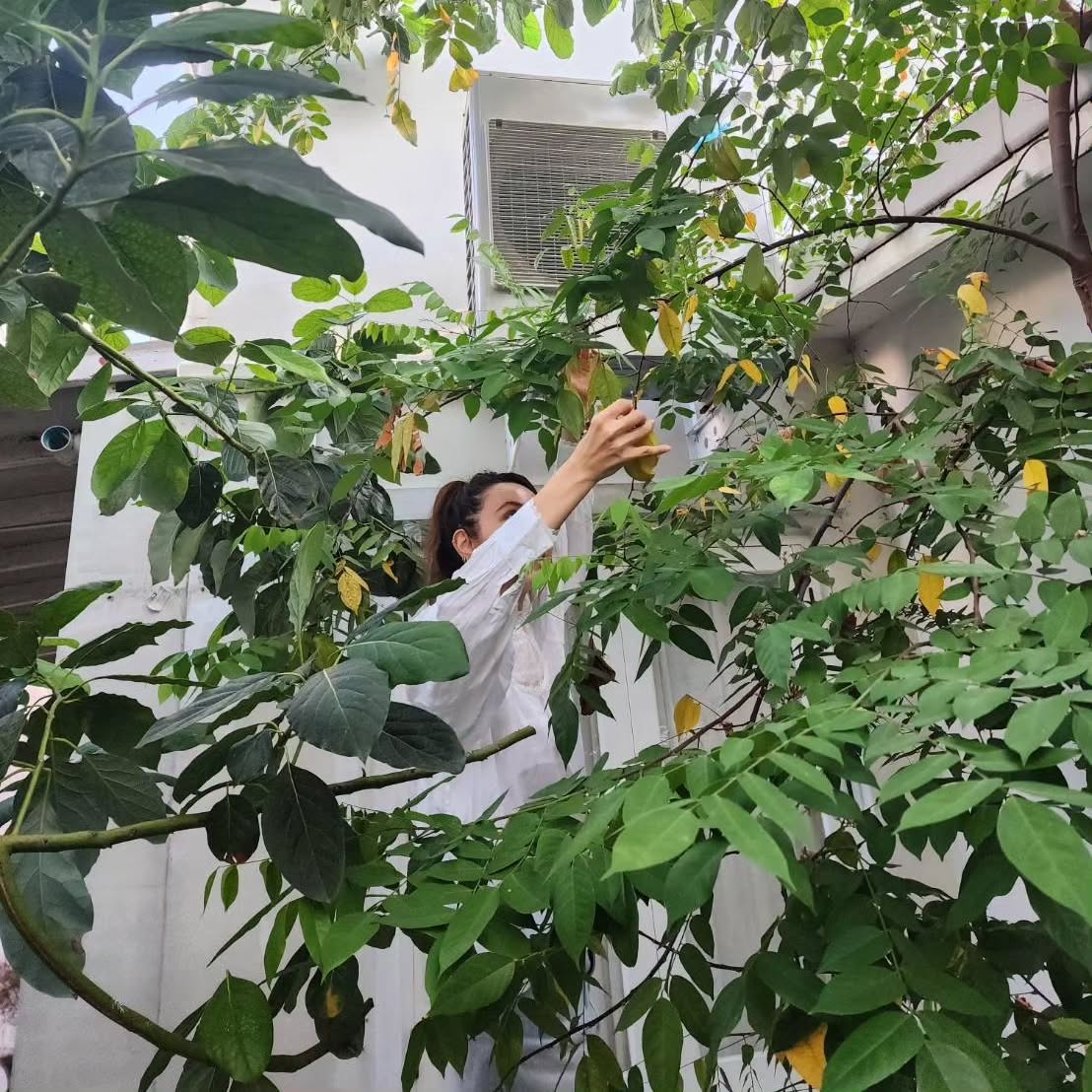 439178370 2416226702098788 5957180183622684266 n