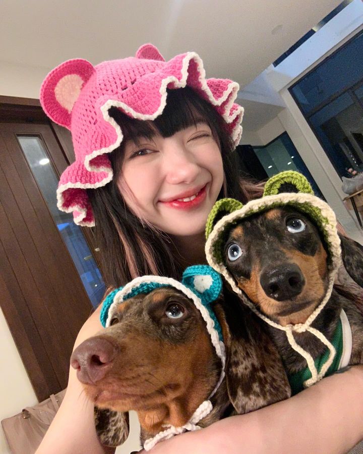 449339697 18446156128000504 225669962997368948 n