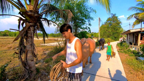 452237288 797940332523230 1293101877487564773 n