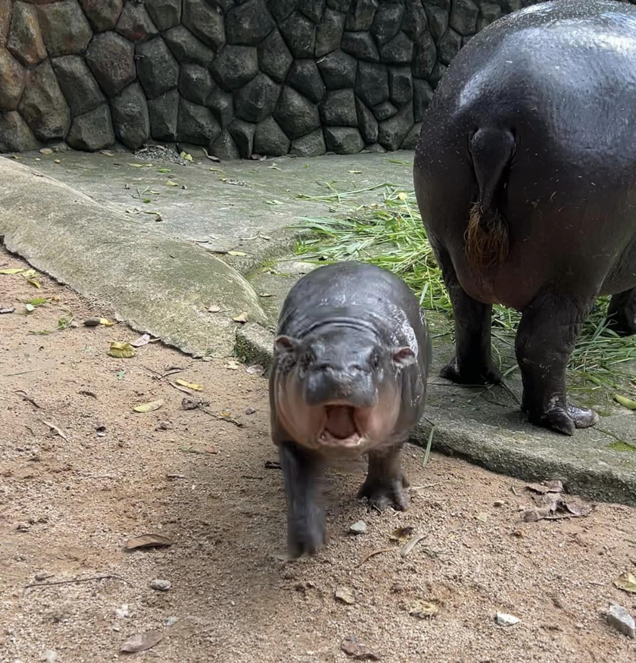 459590904 828666206110554 3224345097409176580 n