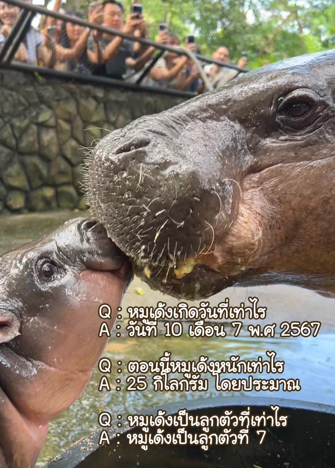 459996259 829118356065339 7761286527839816843 n