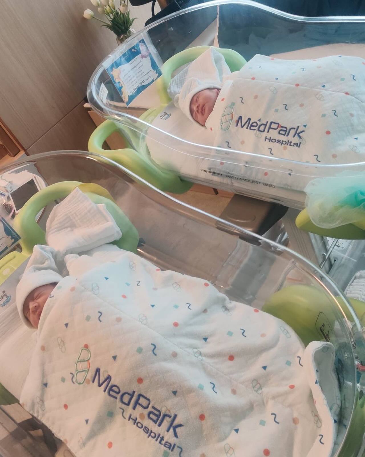 464682952 513140738205472 698302384029138547 n