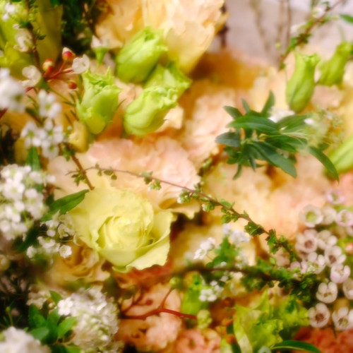 479499592 1897528440782976 1270854528551872962 n