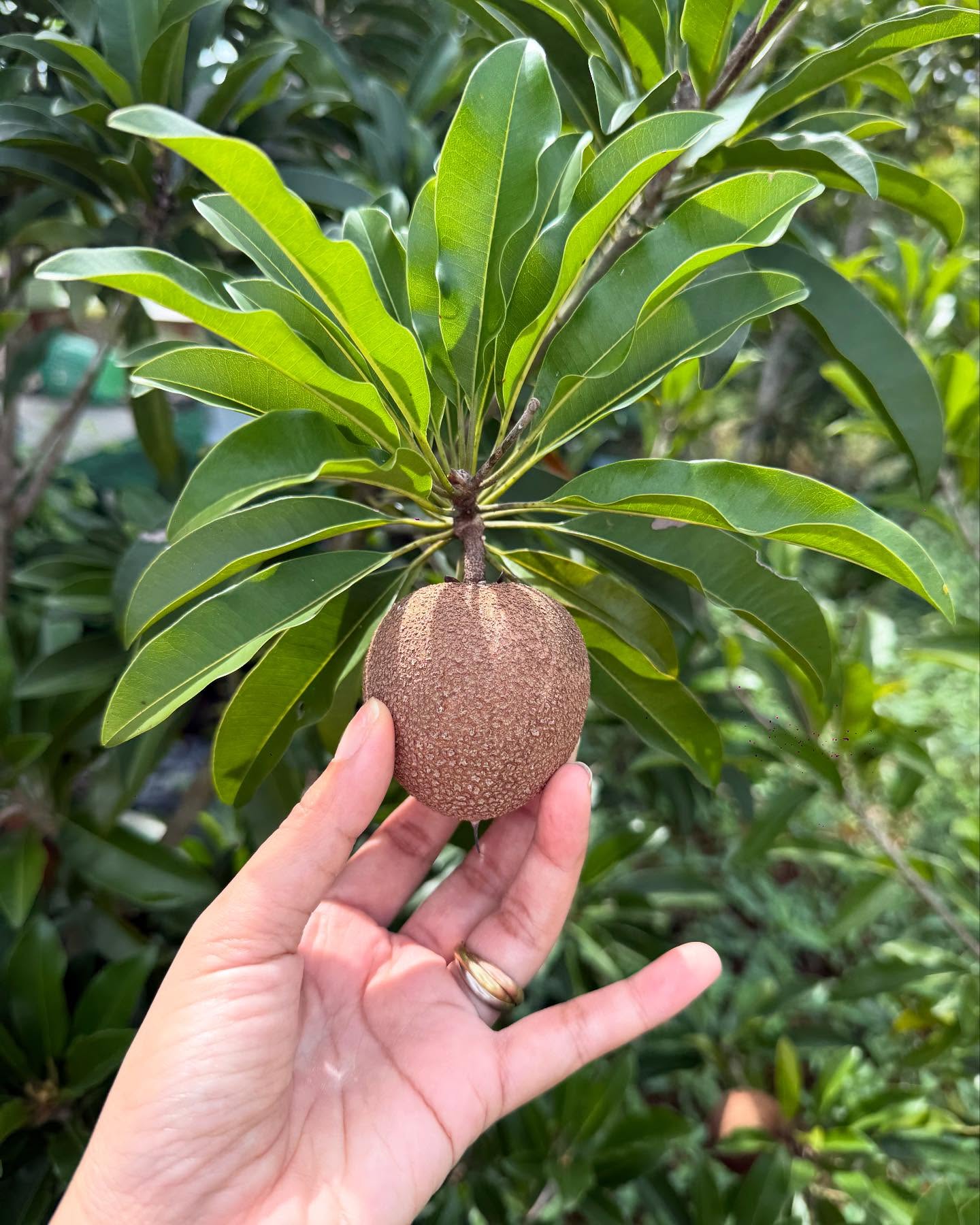 481606830 18491940838007490 191936117854049361 n