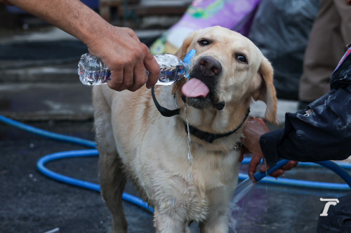 486646530 1132262532273422 951980106140876348 n