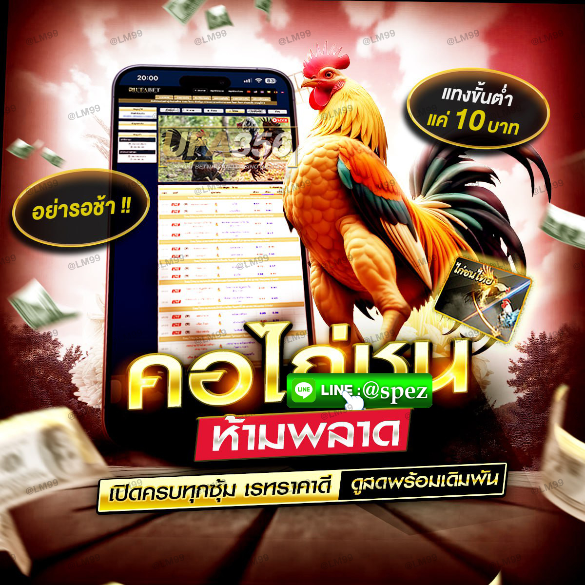 ไก่@spez