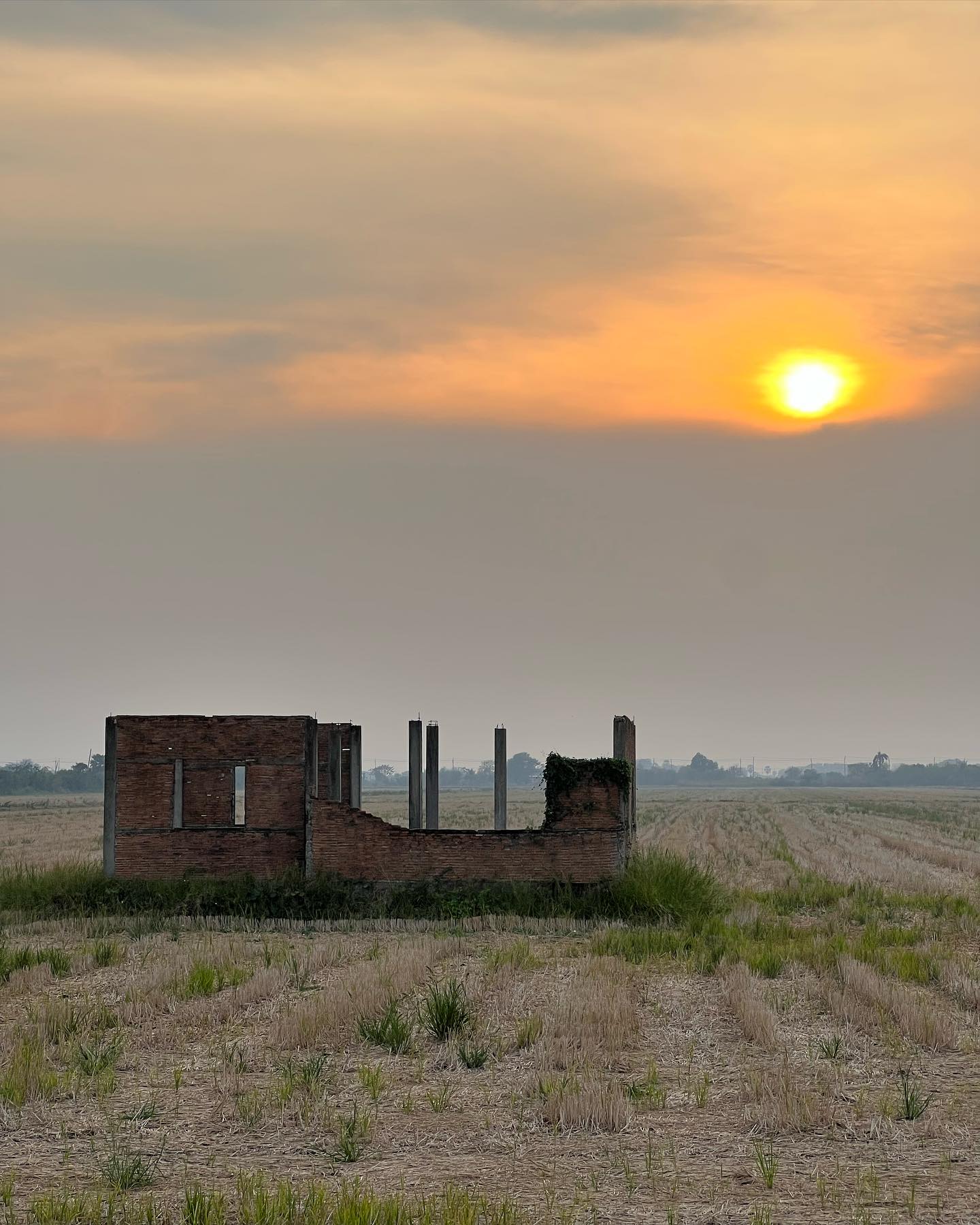 491456559 18501525550053289 6150478100286807719 n