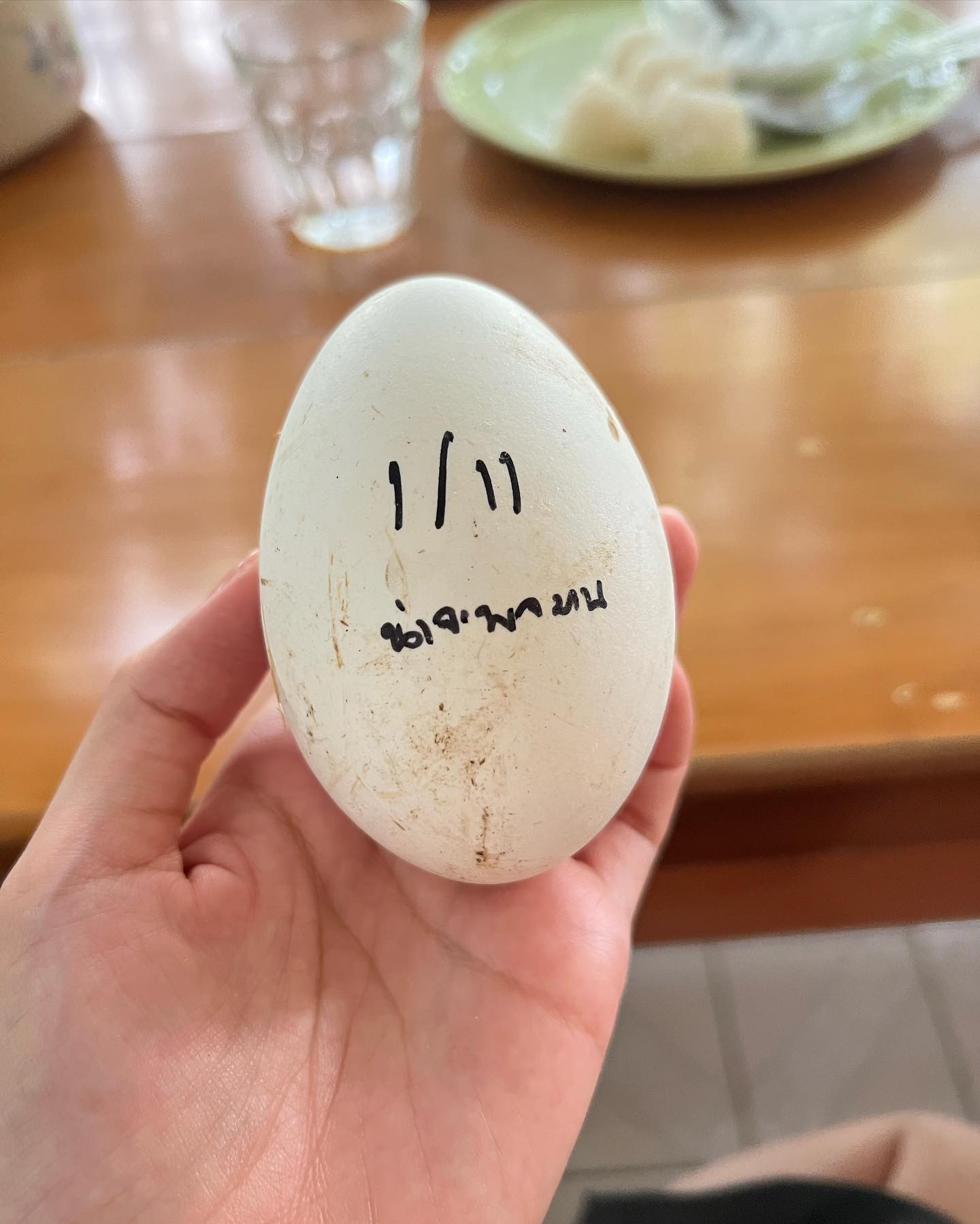 491509154 18501525586053289 6103652812960561424 n