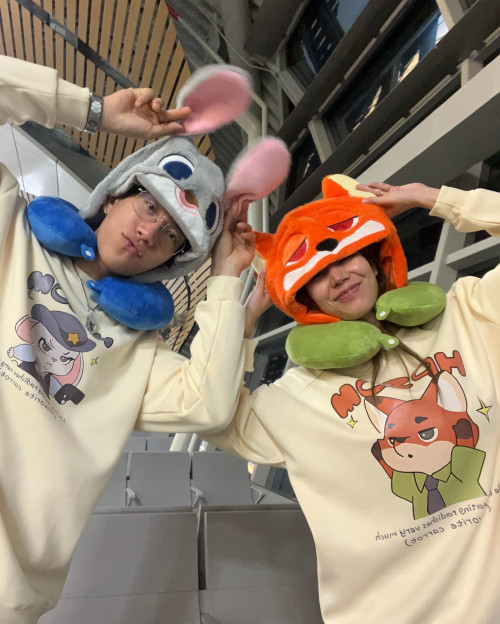 491902562 18509165107031156 7716139092438532318 n