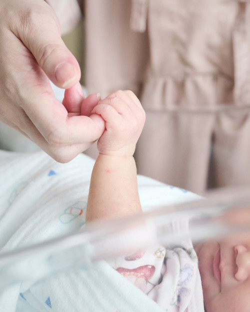 497959799 18499277113000377 7947822741891710719 n