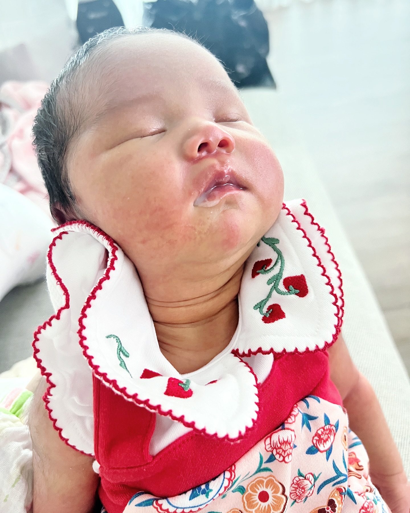 499045739 18500185729000377 706801204461239377 n