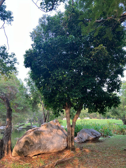 4b89fab9 46c5 4910 9269 879763808b7a