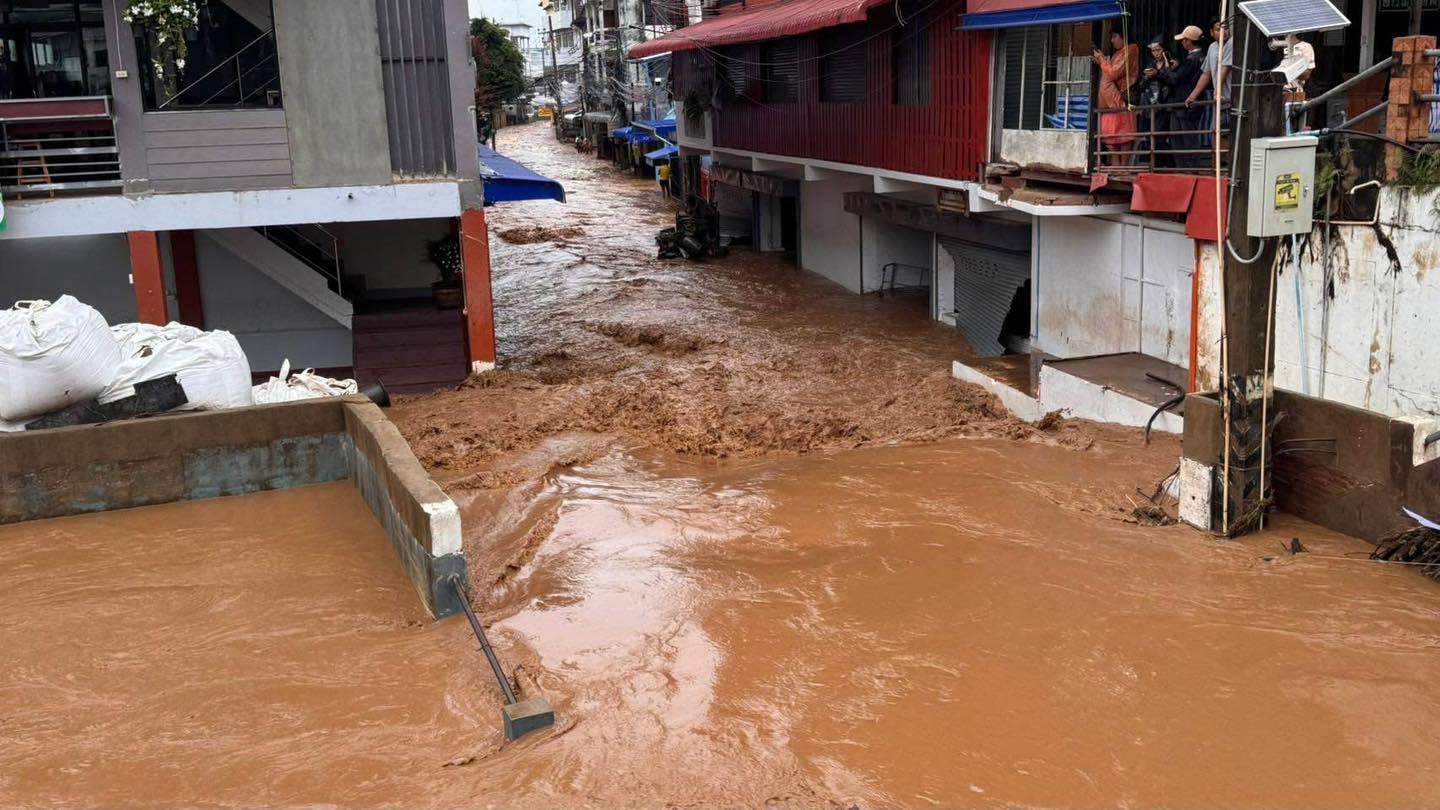 500979362 1250805896406809 1537030530452057150 n