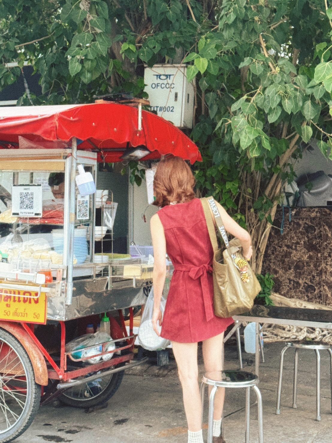 503433823 18513553195047866 2688893693491225918 n