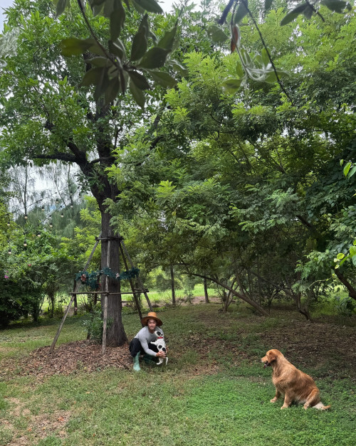 505127516 18512430385025030 2162087700772482325 n