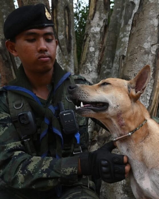 524741764 1151687353654041 4047572884500203355 n 558x696